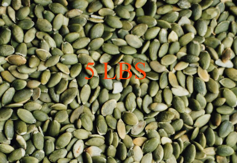 Wholesale Organic Pumpkin Seeds Superfoods Bulk
