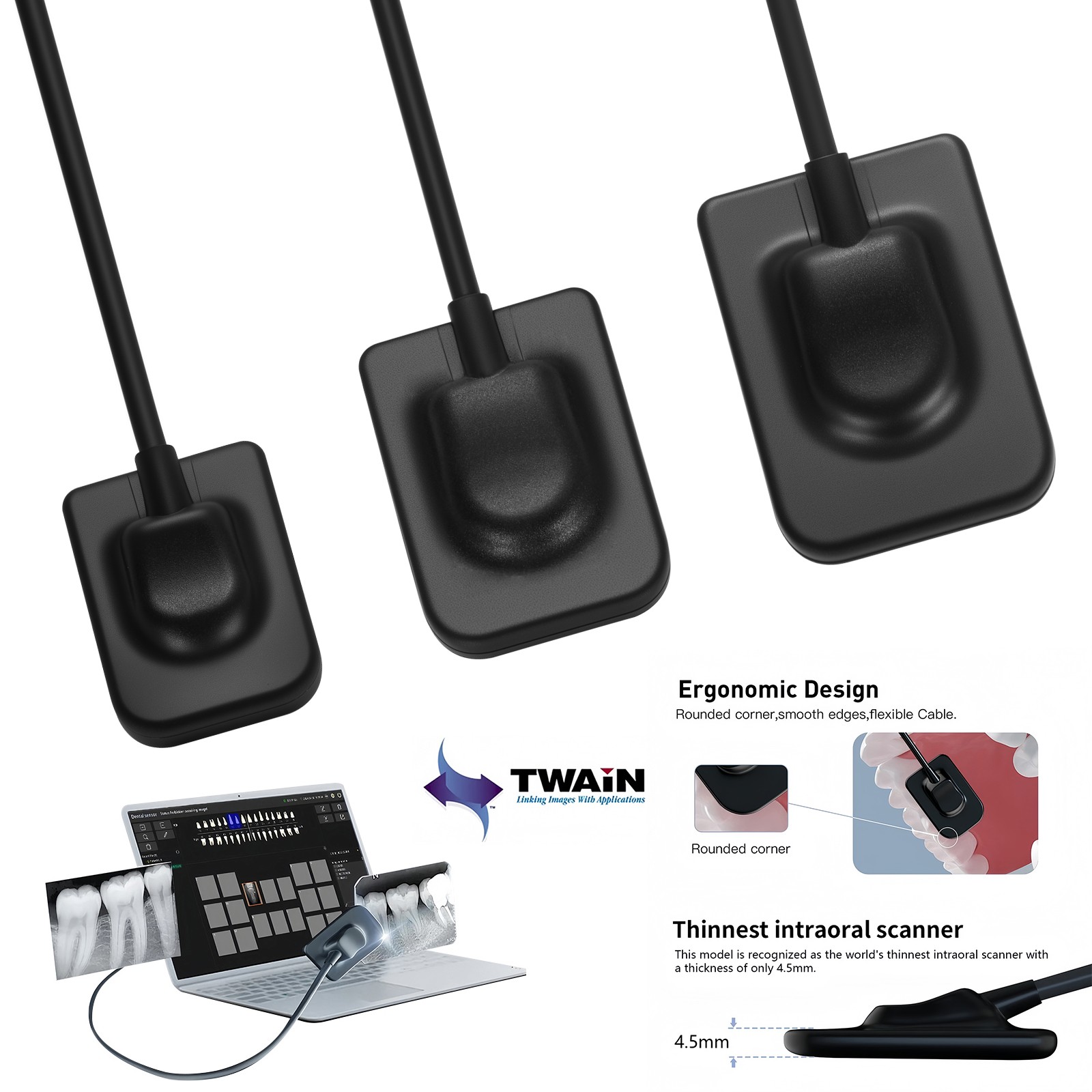 Dental X-Ray Holder Digital Xray Sensor Imaging System 3 Size Sensor Fit Twain