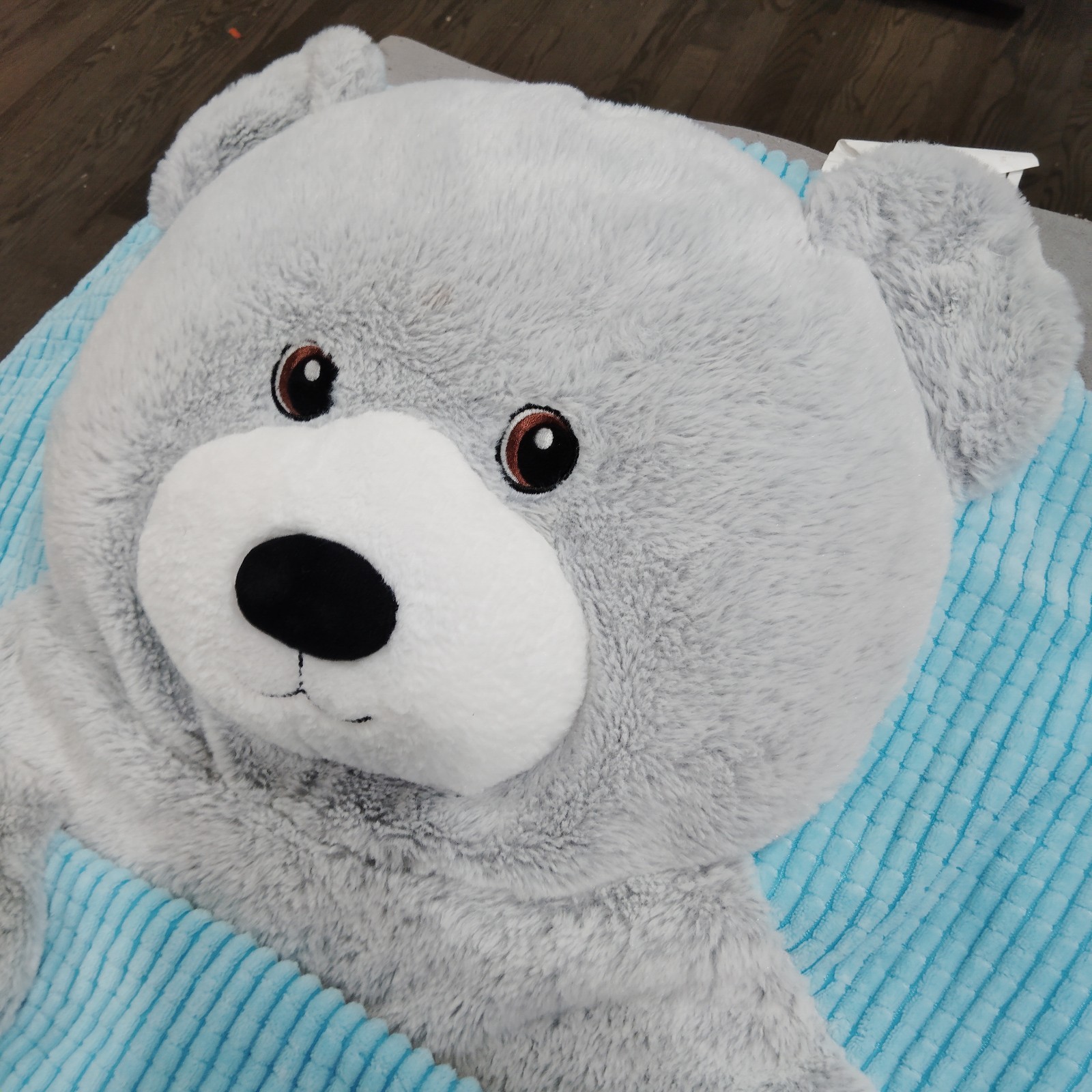 Hug Fun Costco Gray/Blue Plush Teddy Bear Full Zip Kids Sleeping Bag 66 x 28