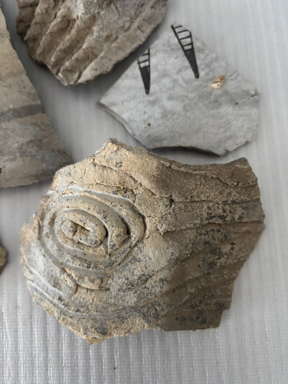 Lot of 7 Large Ancient Anasazi Native American Pottery Shards Arizona L5-D