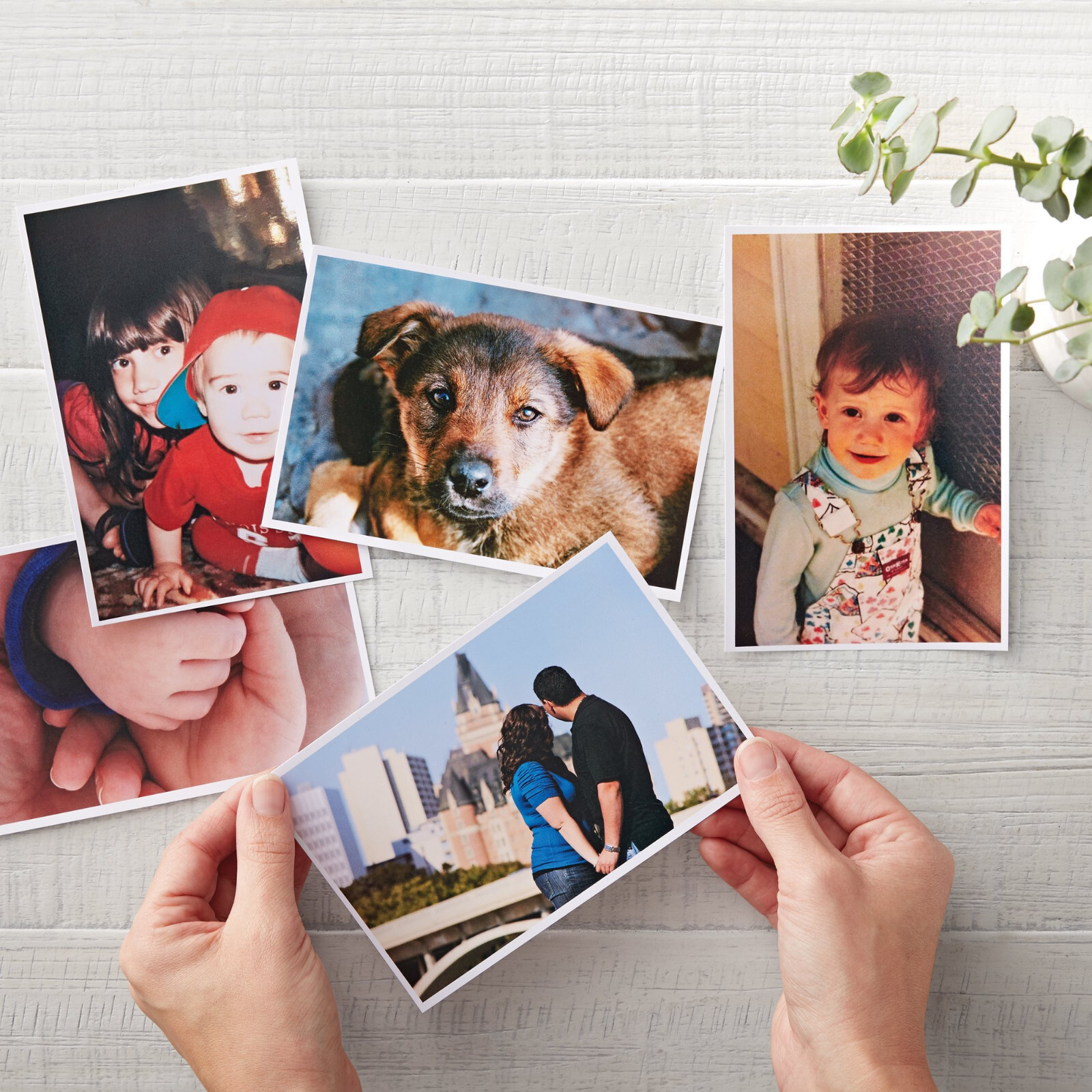 Lot Koala Inkjet Photo Paper 4X6 5X7 8.5X11 11x17 13x19 Glossy 61lb eavyweight