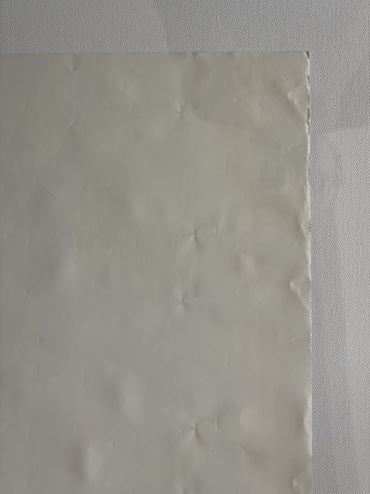 Original Campagnolo Vince CyclingPoster1986 World Championships ColoradoSprings