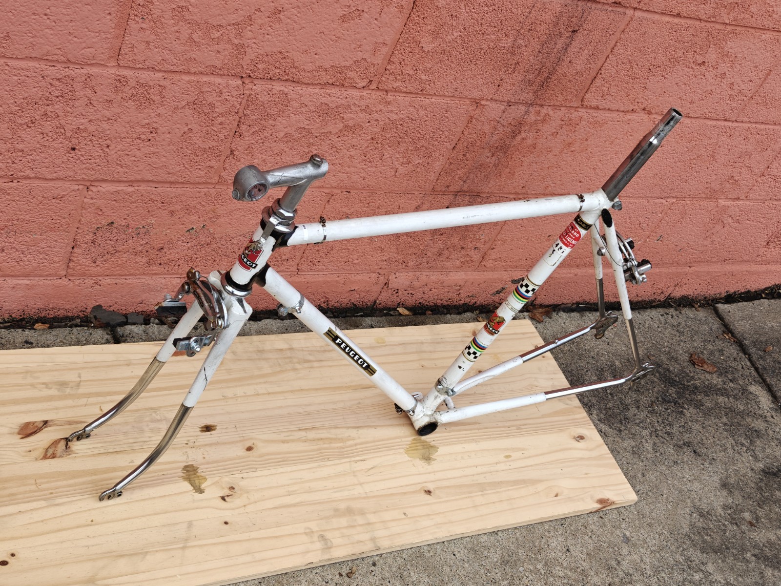 Peugeot PX-10 Vintage Bicycle Frame / Partial Bicycle 54/55cm