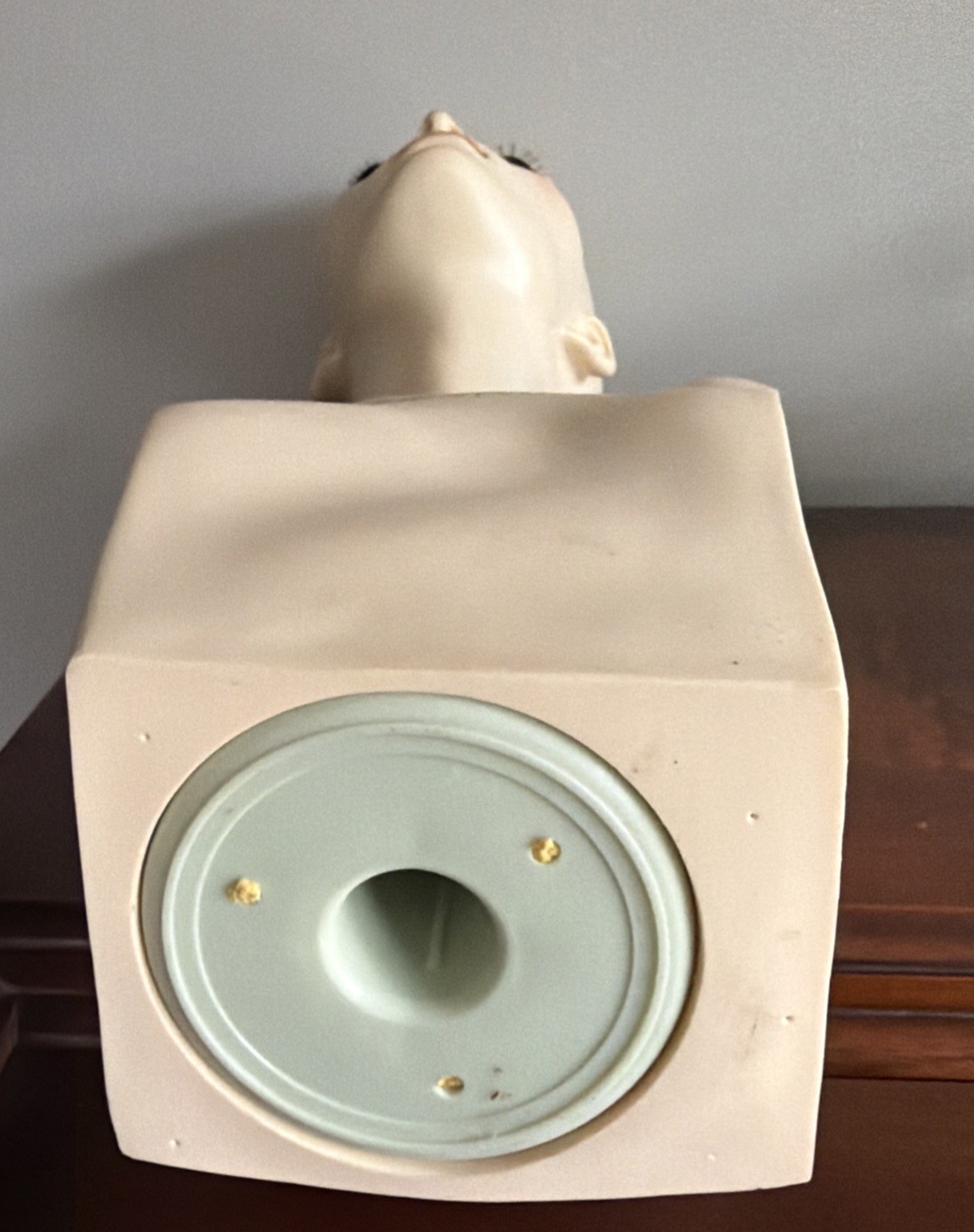 Vintage Rene of Paris Fiberglass Mannequin Head for Wigs Hats Cosmetology 20”