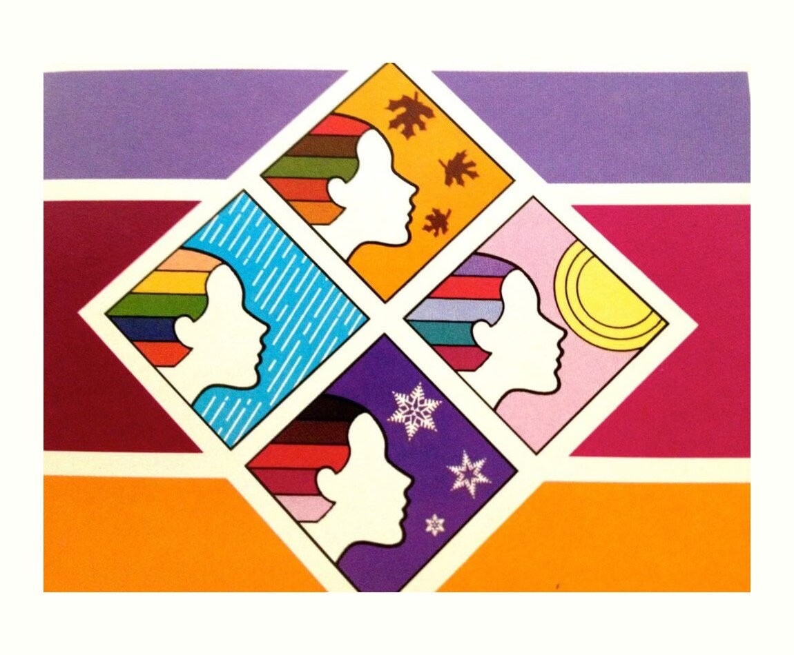 Color Analysis Drapes+Full Color book-step by step-a MUST to use for analyzing!