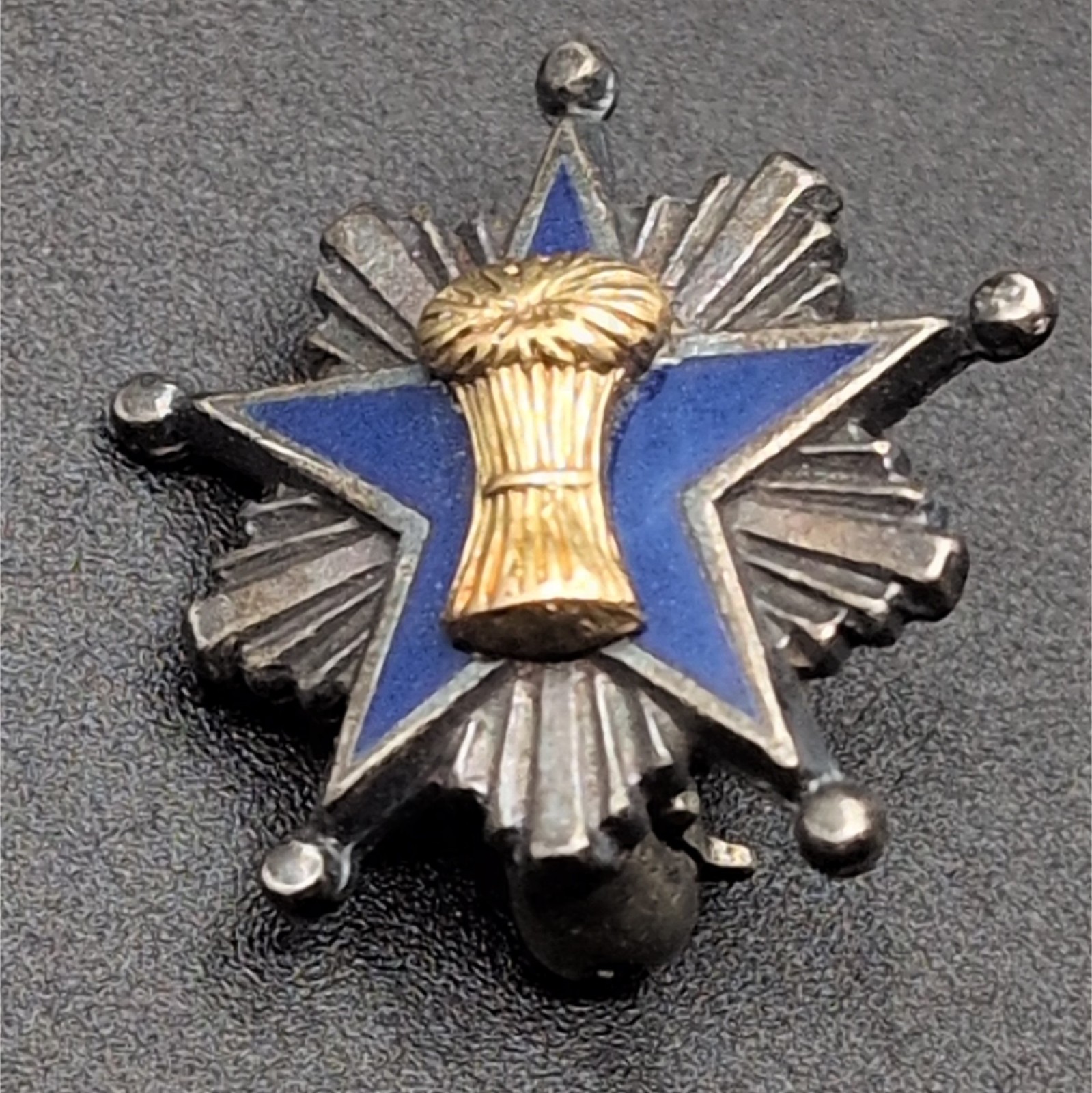 Vintage Grange Sterling Silver Pin Grange of the Order of Patrons of Husbandry