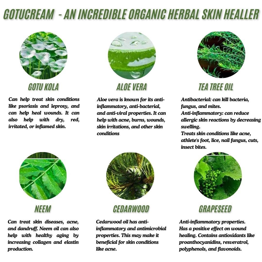 Gotucream 2oz Jar ~ Organic Healing Cream ~ New Made in Scotland. Gotu Cream