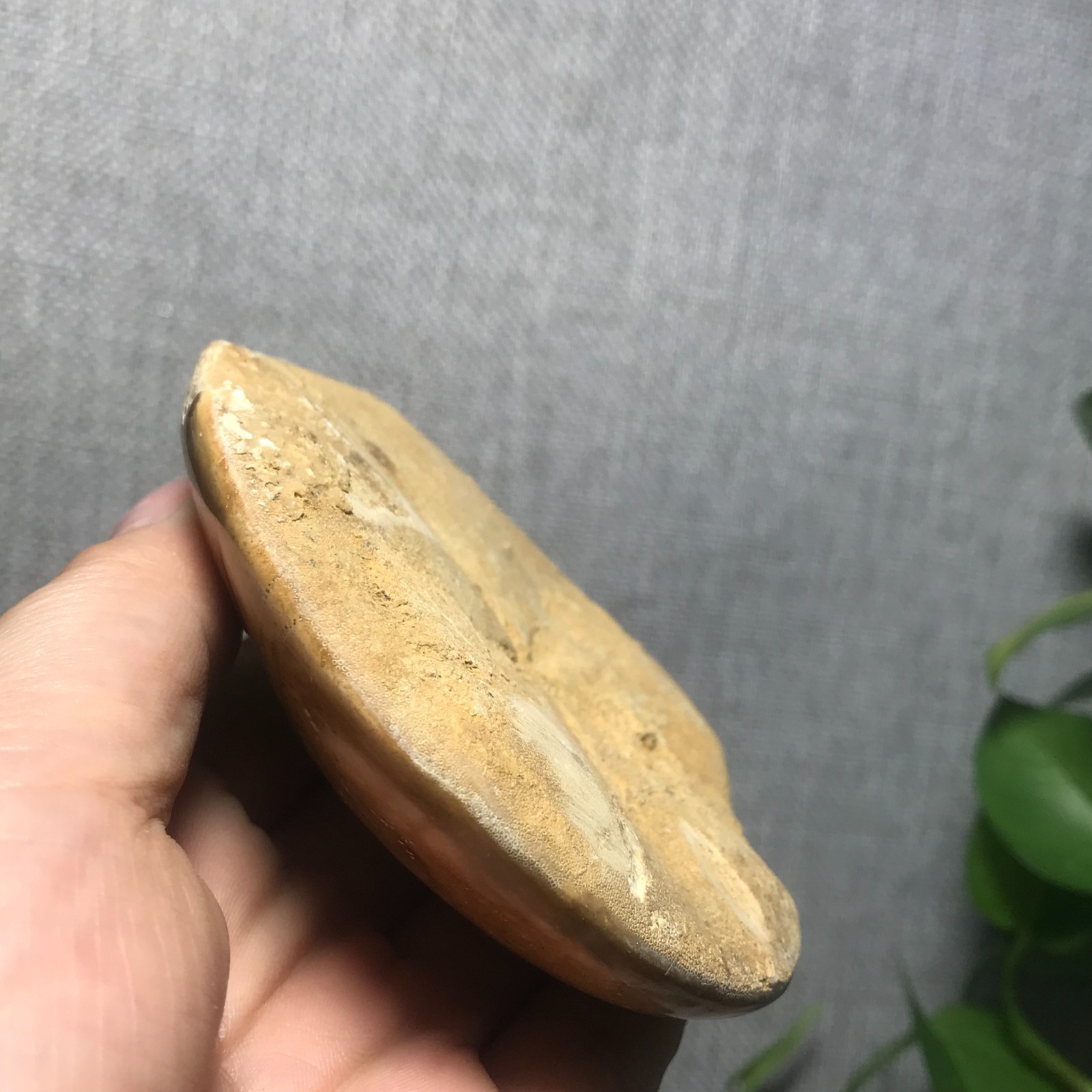 207g Starfish Crystal Specimen 16