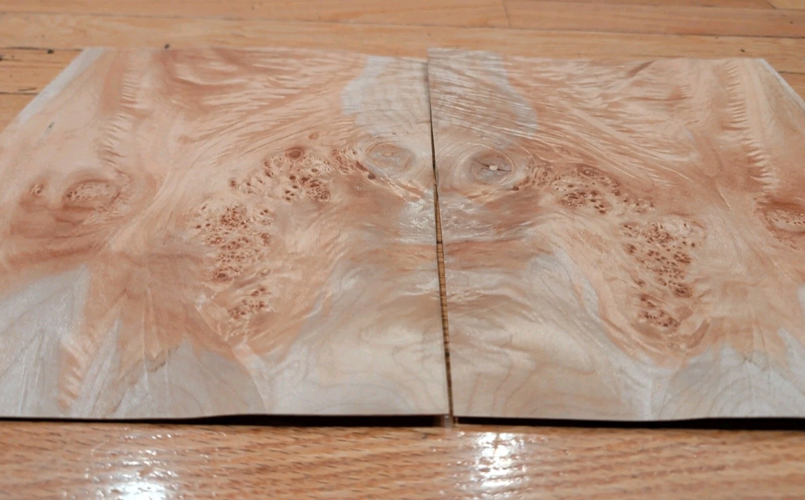 Maple Burl veneer 2 pieces 8" x 10 1/8" each raw 1/42" wood Buckled