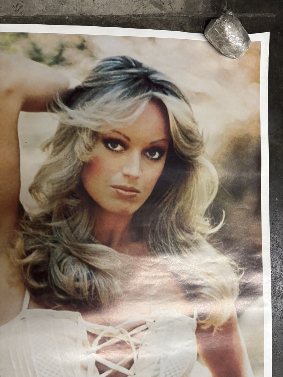 Giant Susan Anton 1979 Hot Girl large door vintage poster actress C2584