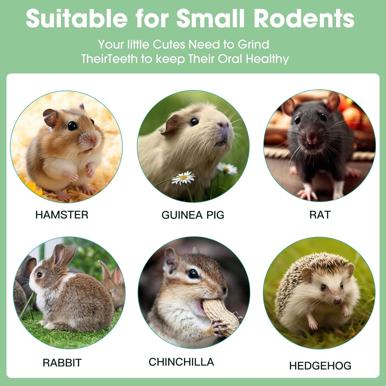 3 PCS Bunny Chew Toys, Natural Hanging Rabbit Chew Toy Treats for Guinea Pigs Ha