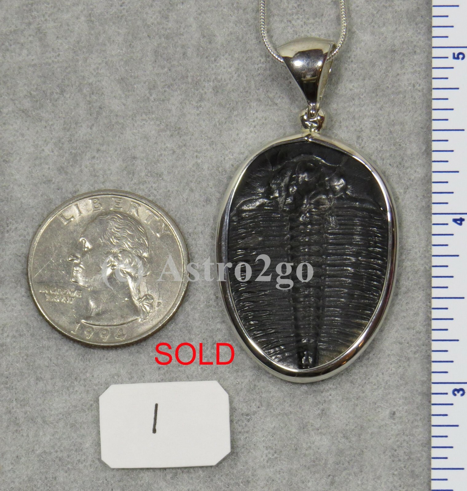 Elrathia Kingii TRILOBITE PENDANT $109 Sterling Silver Jewelry STARBORN CREATION