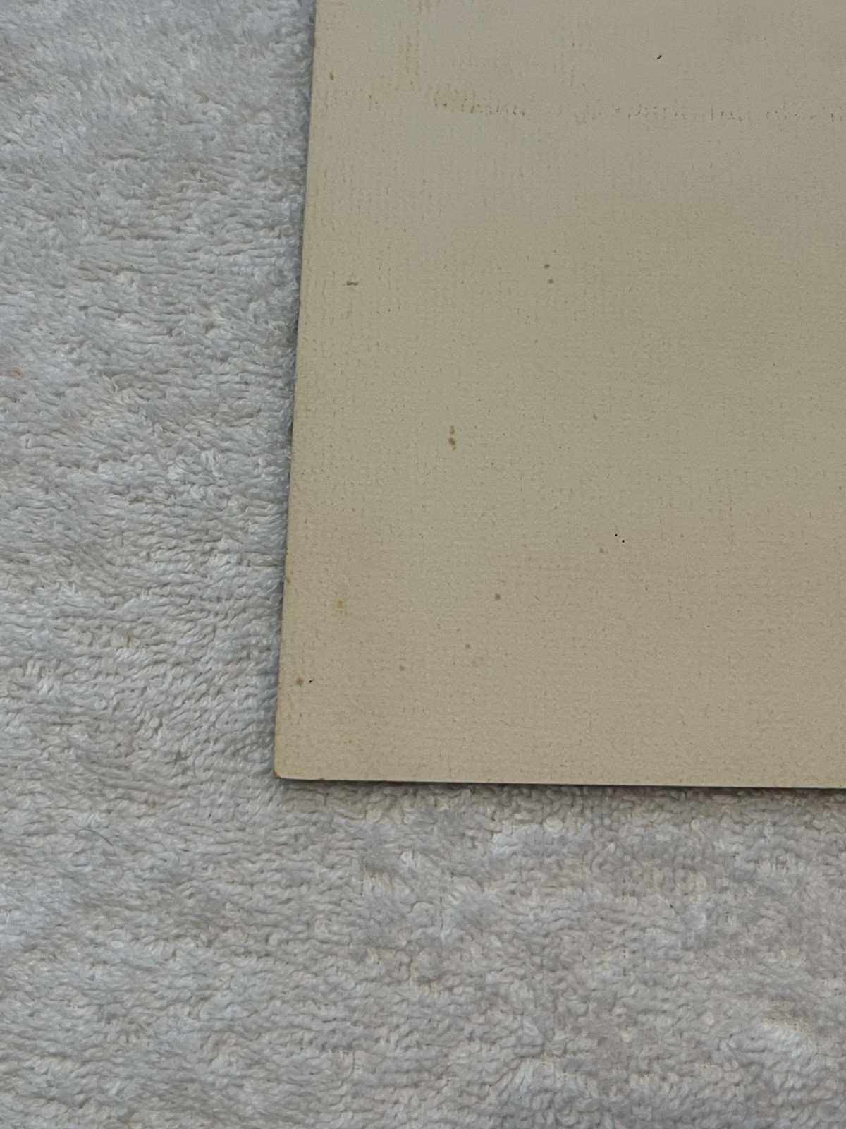 ELVIS PRESLEY 17 x 11 Poster Print by Loxi Sibley 1976 Concert Boxcar Excellent