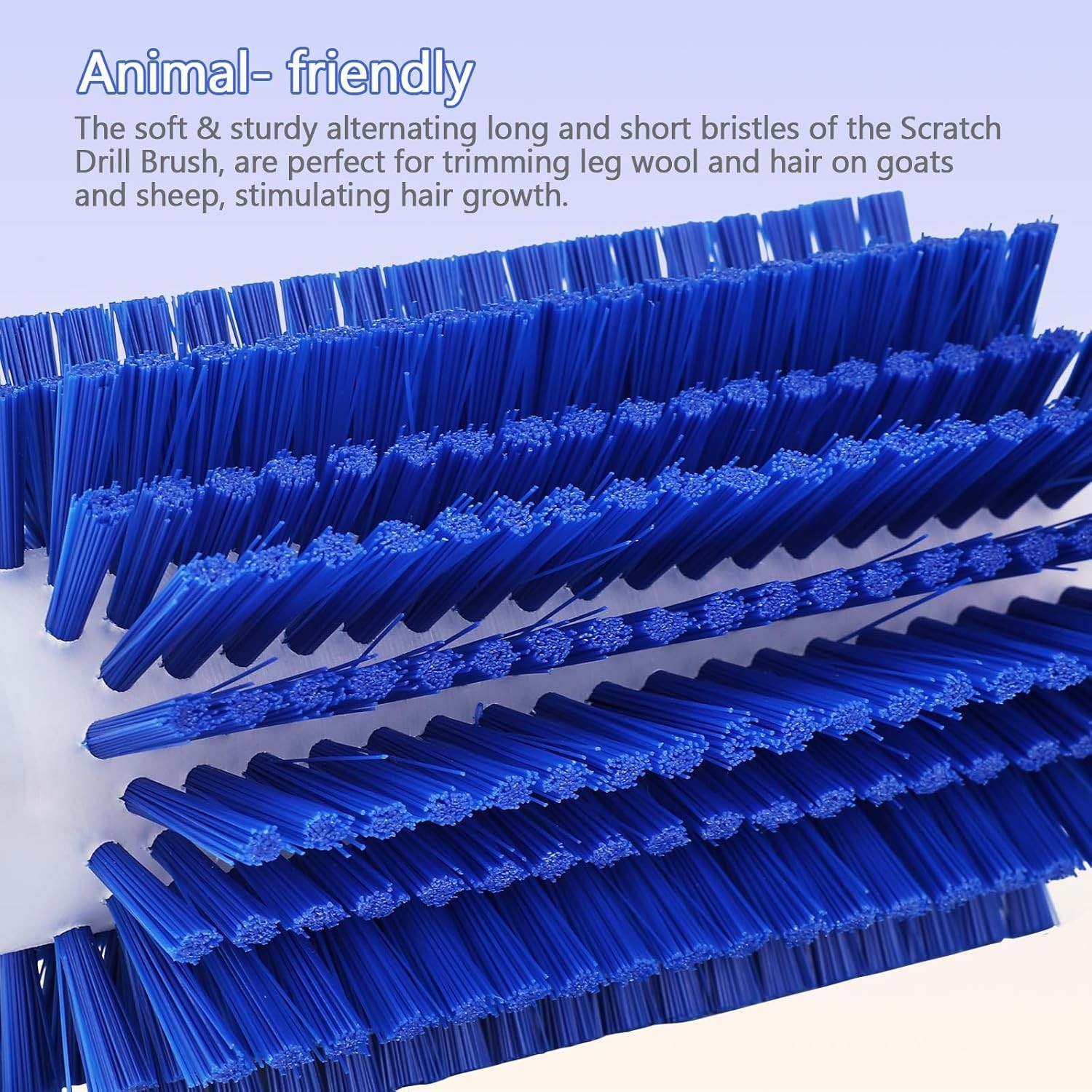 Livestock Scratching Mini Roto Drill Brush Attachment For Horse 7in, Blue