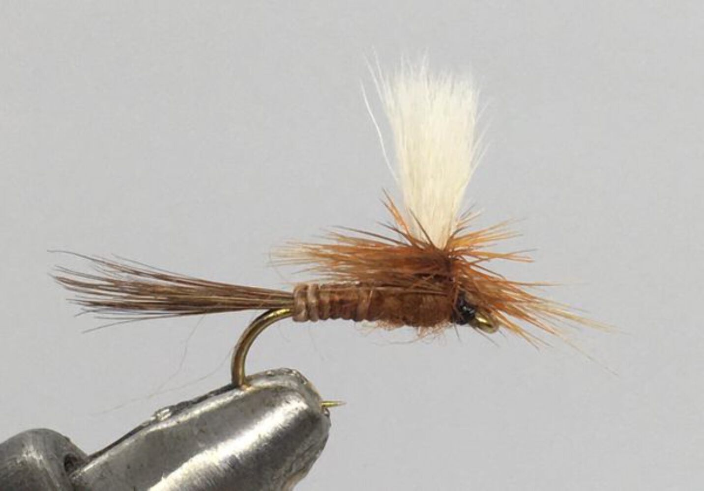 One Dozen (12) - Rusty Parachute Adams - Dry Fly