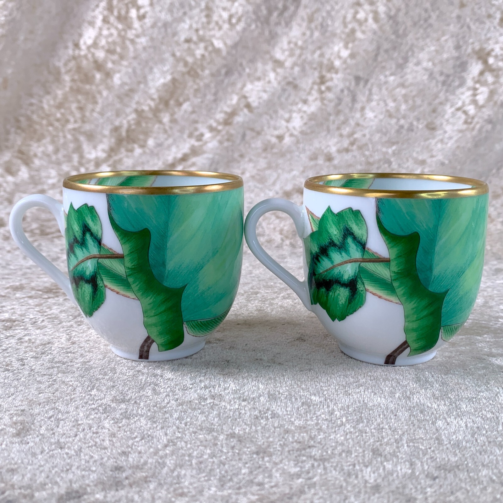 Hermes Demitasse Cup & Saucer Passifolia Porcelain Tableware Botanical 2 Sets