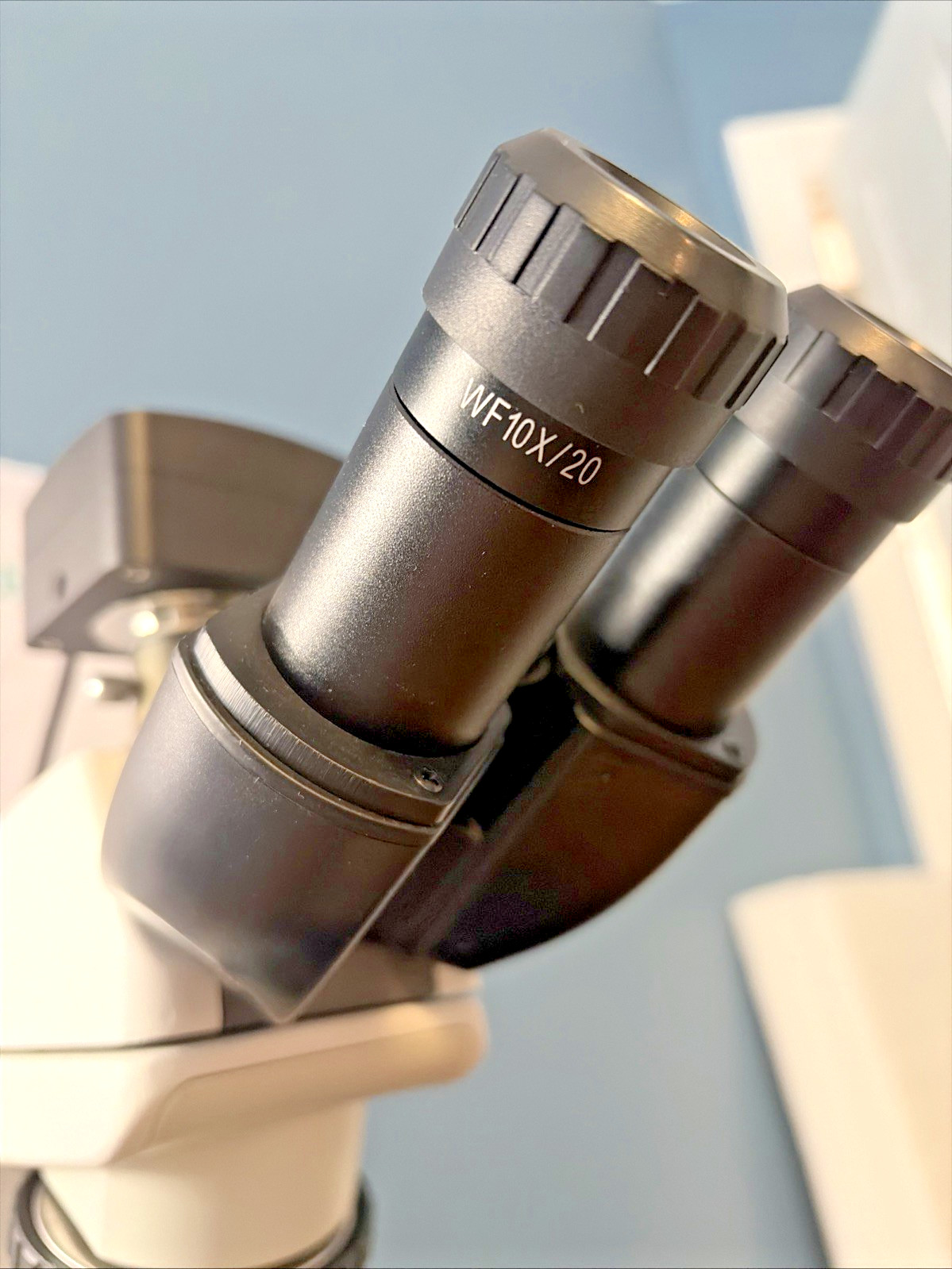 Fisherbrand Research Upright Microscope, (4) OBJECTIVE LENSES, 10MP camera