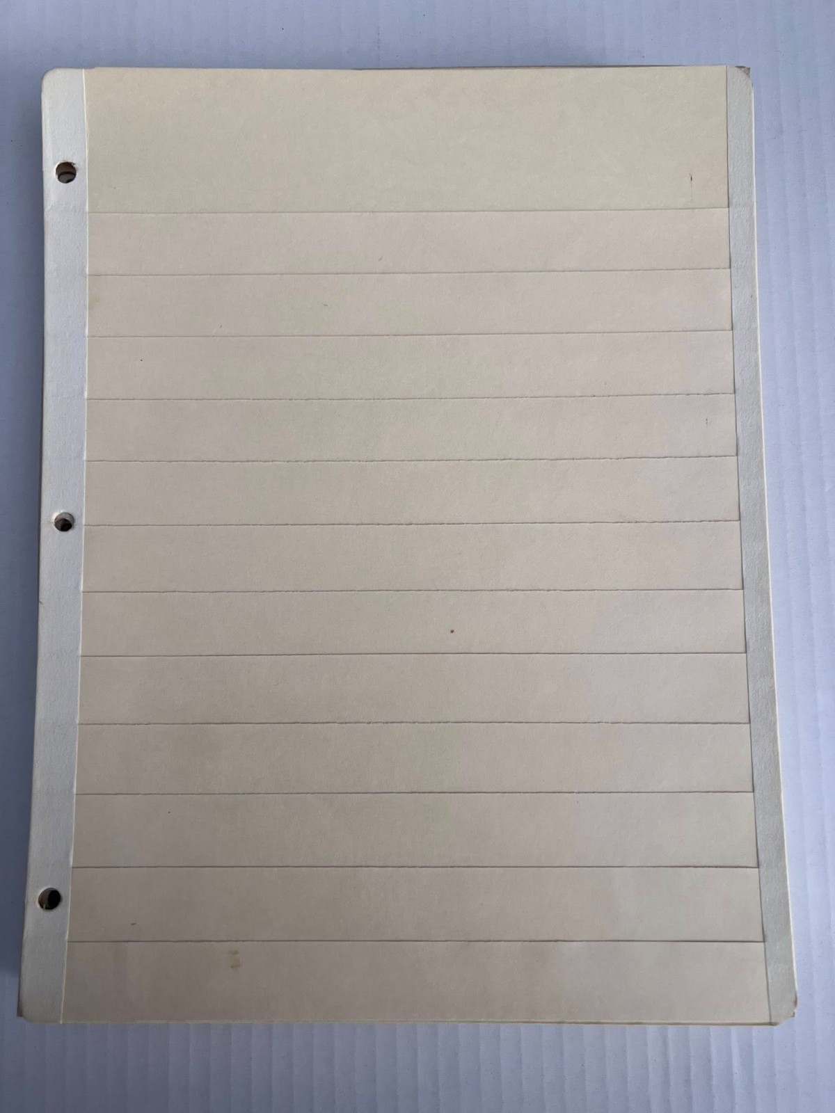 Pack of 20 Manila 12 Row Stock-pages for Standard 3-Ring Binders (No marks)