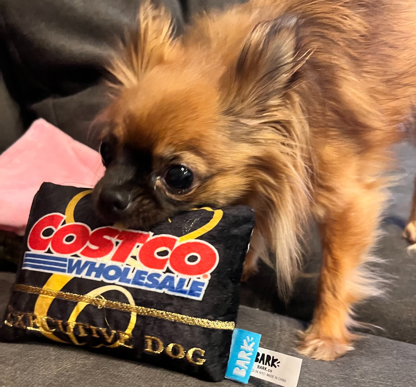 BARK! Costco Kirkland Dog Toy "Executive Dog" Membership Card Plush Toy NEW!