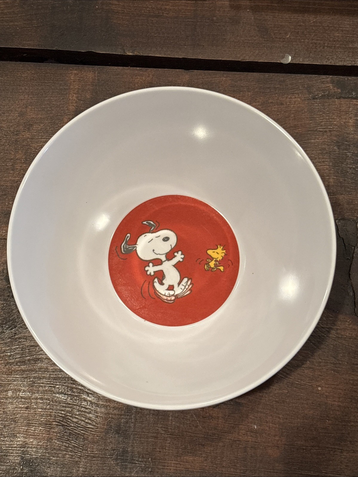 Pottery Barn Kids Thanksgiving Snoopy & Woodstock Bowl NEW Melamine Fall Colors