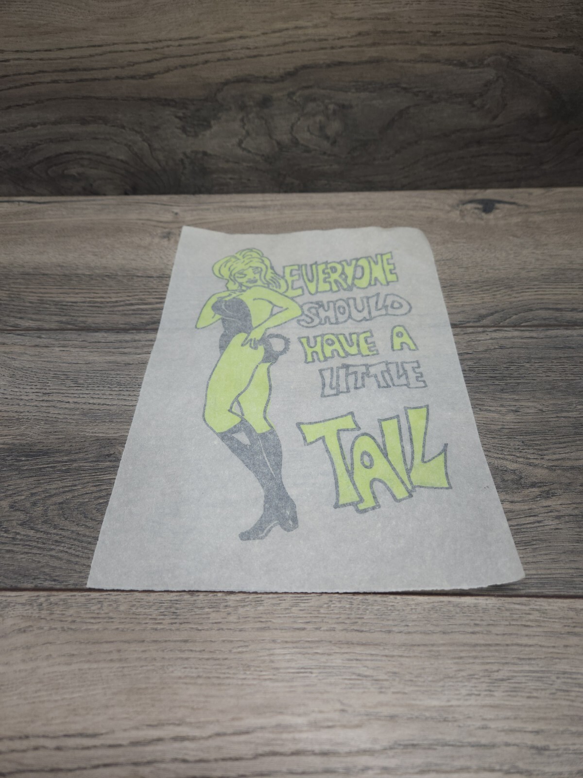 VINTAGE Sexy Girl Fun Heat Transfer Iron On Everyone Should Have A Little Tail