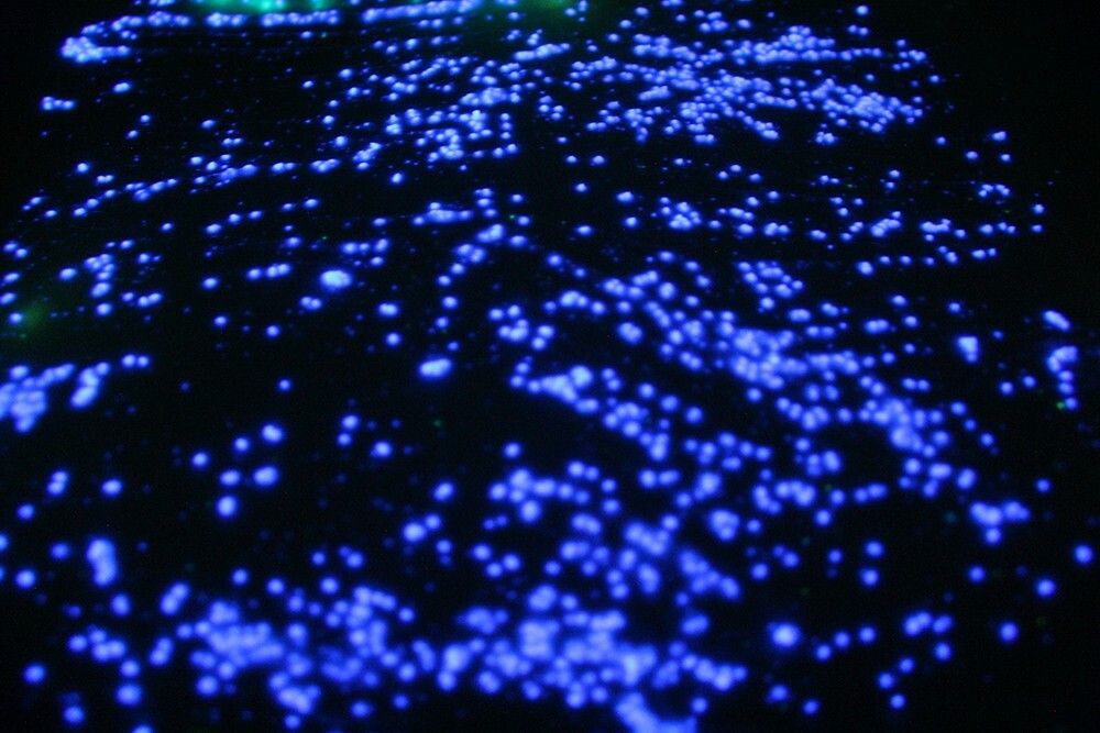 Glow in the Dark StarMaker Large Crystal Sand Strontium Aluminate Luminous Paint