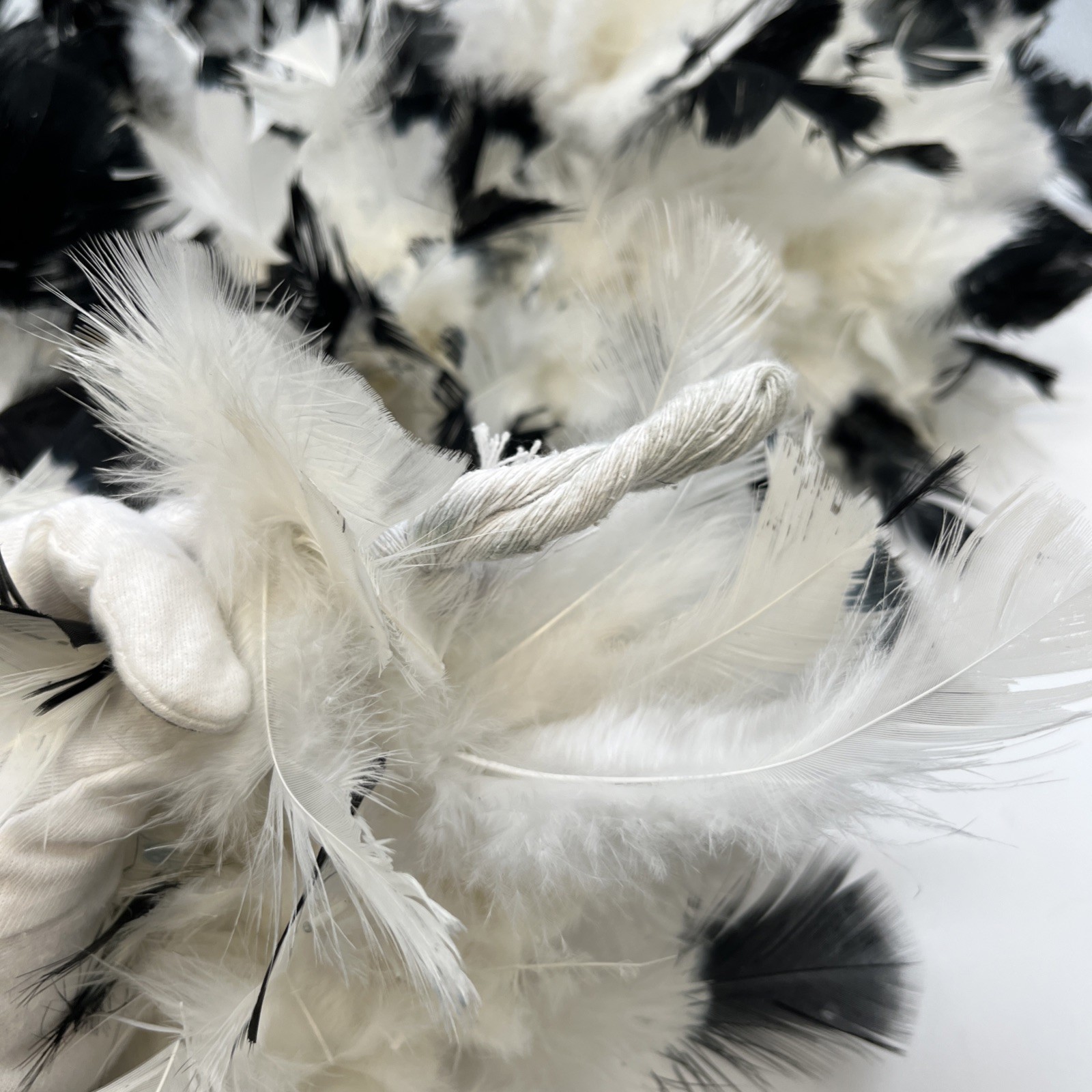 Black tipped White chandelle feather boa 72” D0123302
