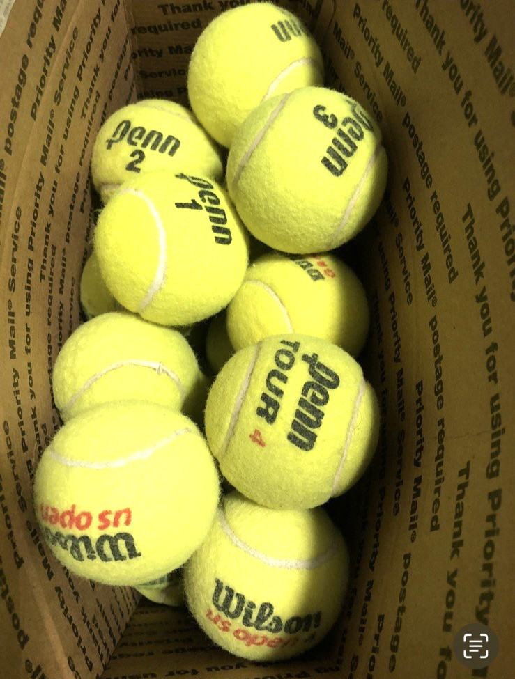 100 Used Tennis Balls, Dogs, Walkers, Schools