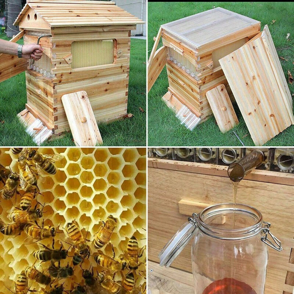 Auto Beehive 7 Frames Complete Box Kit Bee Hives Bee Frames + Beekeeping Hive