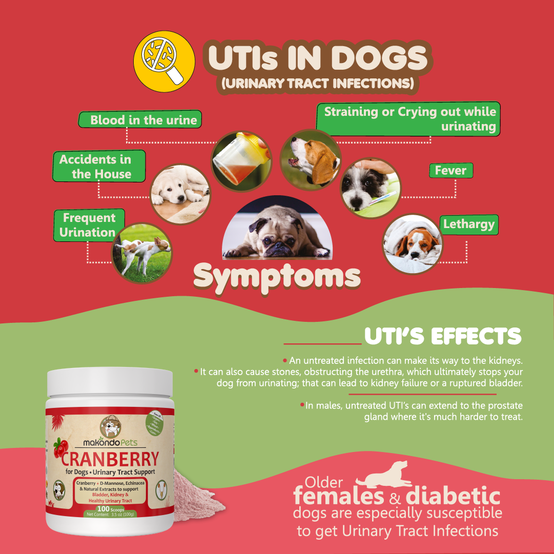 Cranberry for Dogs Powder Supplement – UTI Natural Remedy Urinary Tract Support