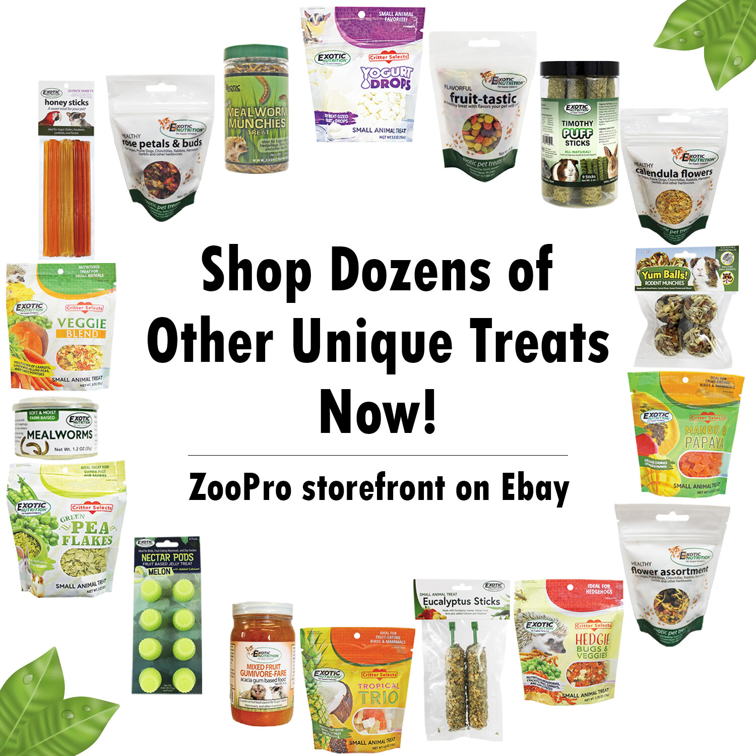 Antler Chews - Natural Source - Food for Chinchillas, squirrels and more