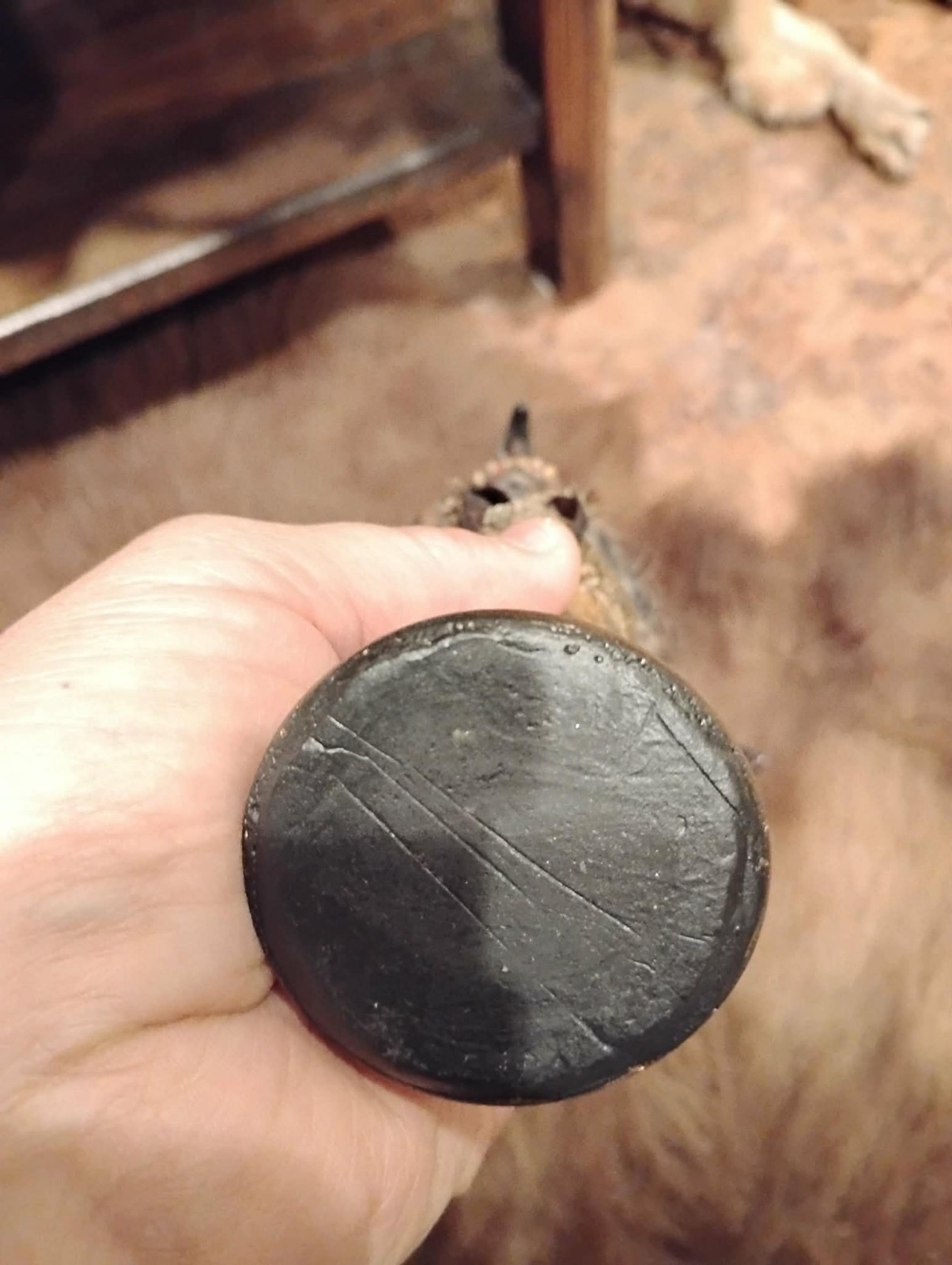 Goblin Mummified Severed Head Handmade Sculpture by Spanish Artist Moise Espina