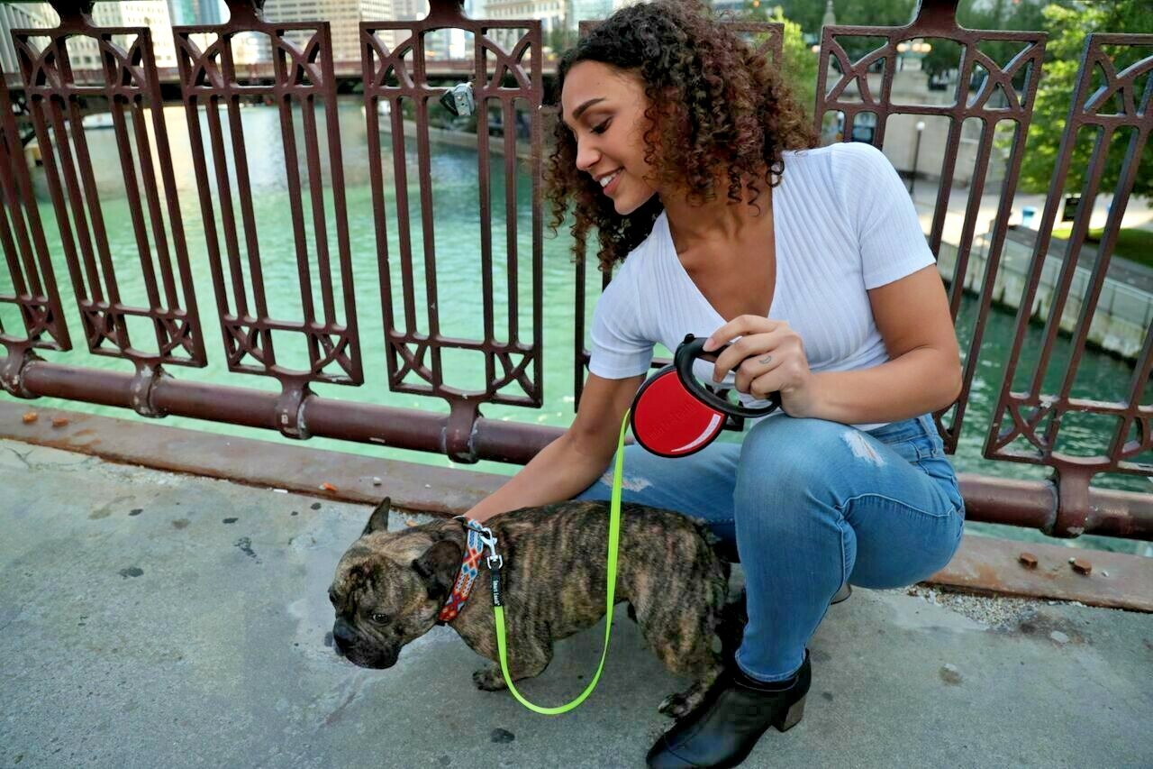 SmartLeash® -The Only Automatically Braking Retractable Leash- New-Free Shipping