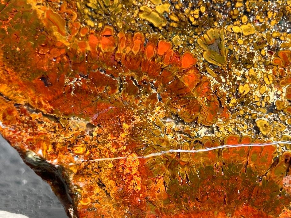 East Java Plume Agate - Indonesia 3.75"x3" High Grade Lapidary Rough Slab