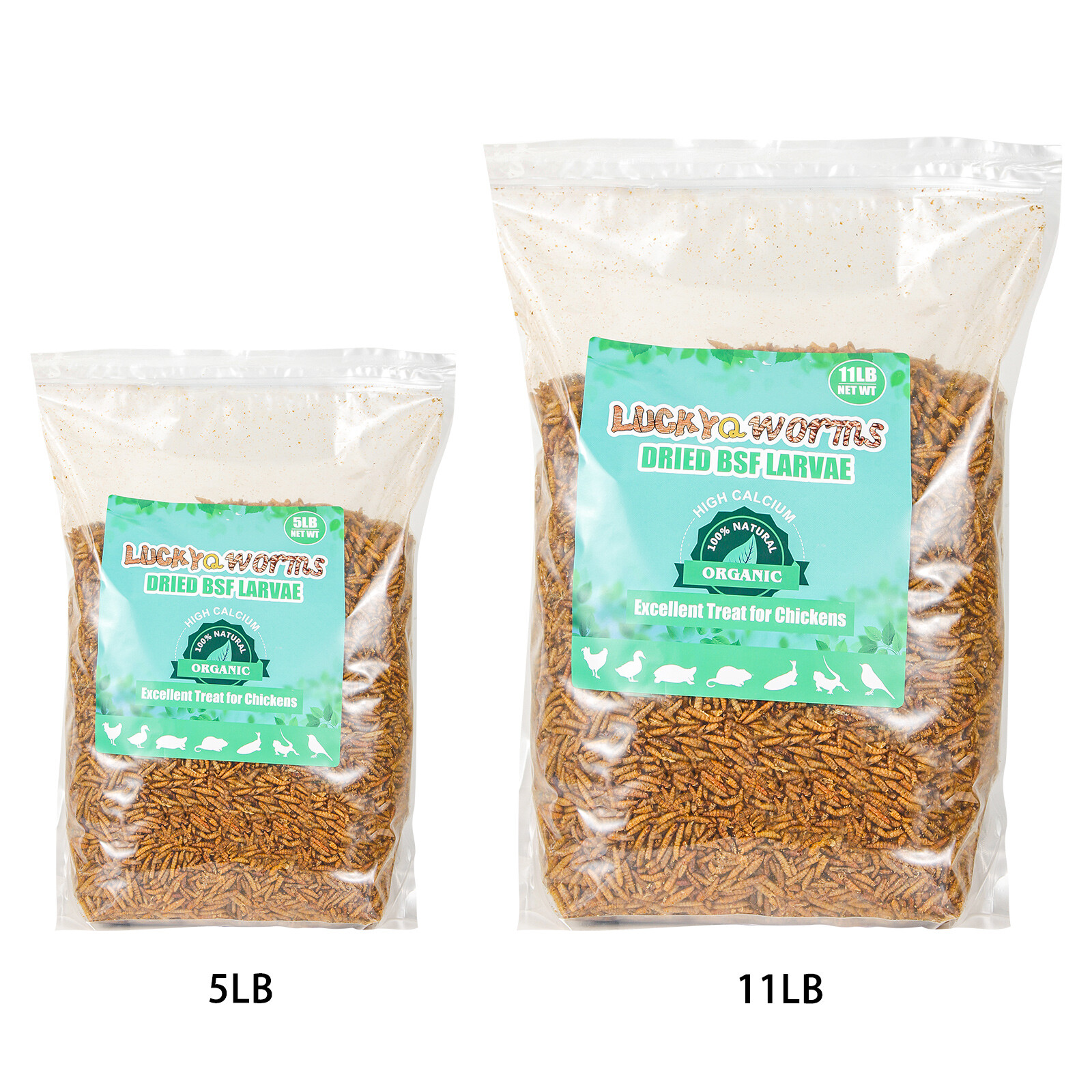 Lot Bulk 5-44LB Dried Black Soldier Fly Larvae Mealworms for Chicken Birds Treat