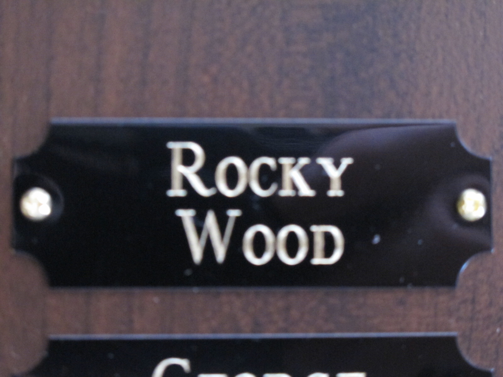 7/8"x 2 1/2" BLACK BRASS NAME PLATE-ART-TROPHIES-TAXIDERMY FREE CUSTOM ENGRAVING