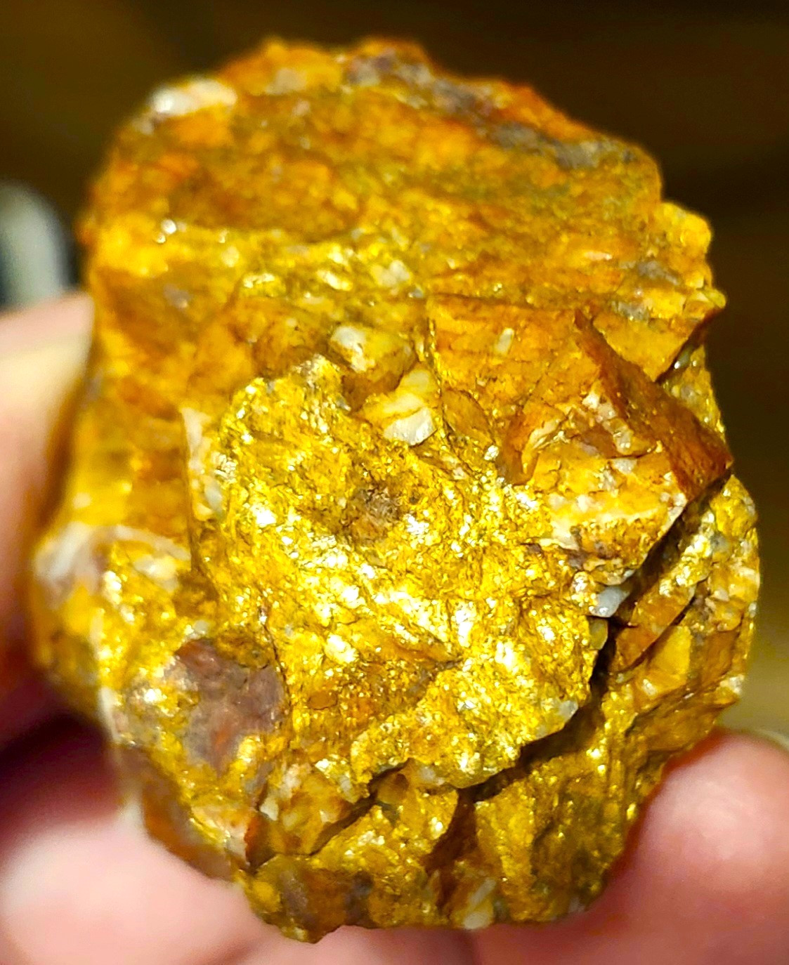 Gold Ore Specimen /Quality Visible Gold