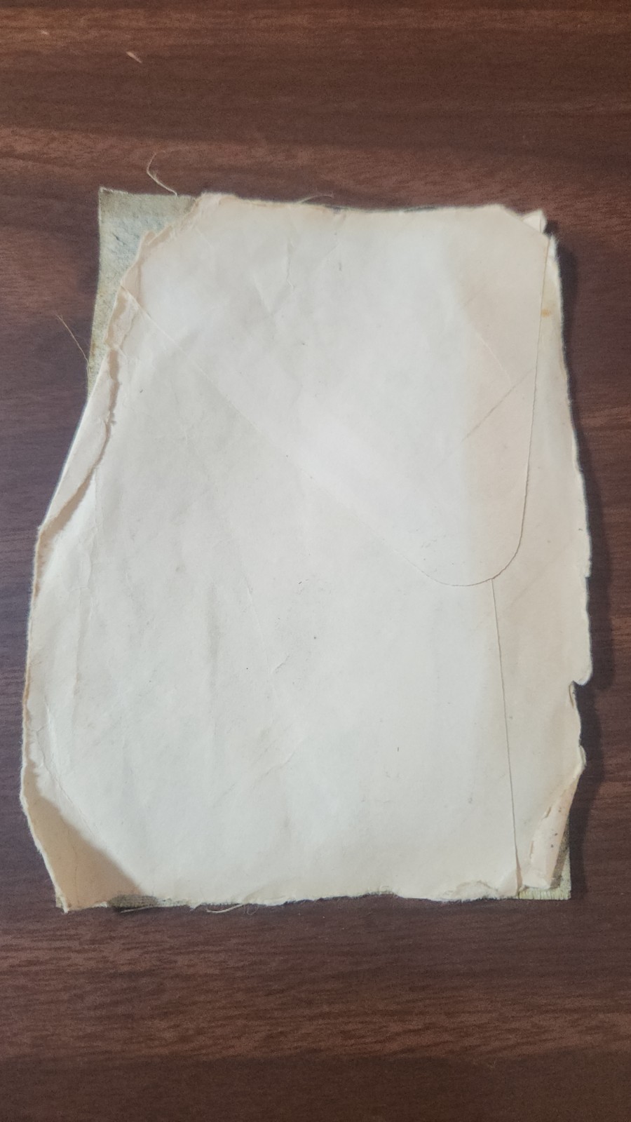 OZZY OSBOURNE Randy Rhoads 1981-82 Diary of a Madman Tour Backstage Pass yellow