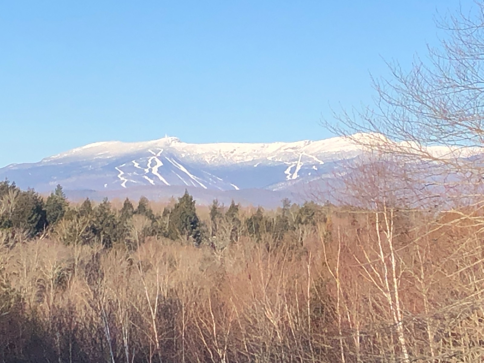 London Pattern Set of 6 Cherry Chisel Handles for Restoration