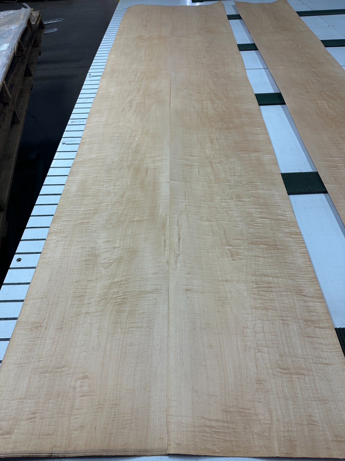 Maple Raw Wood Veneer 2 sheets 120'' x 14'' 23D