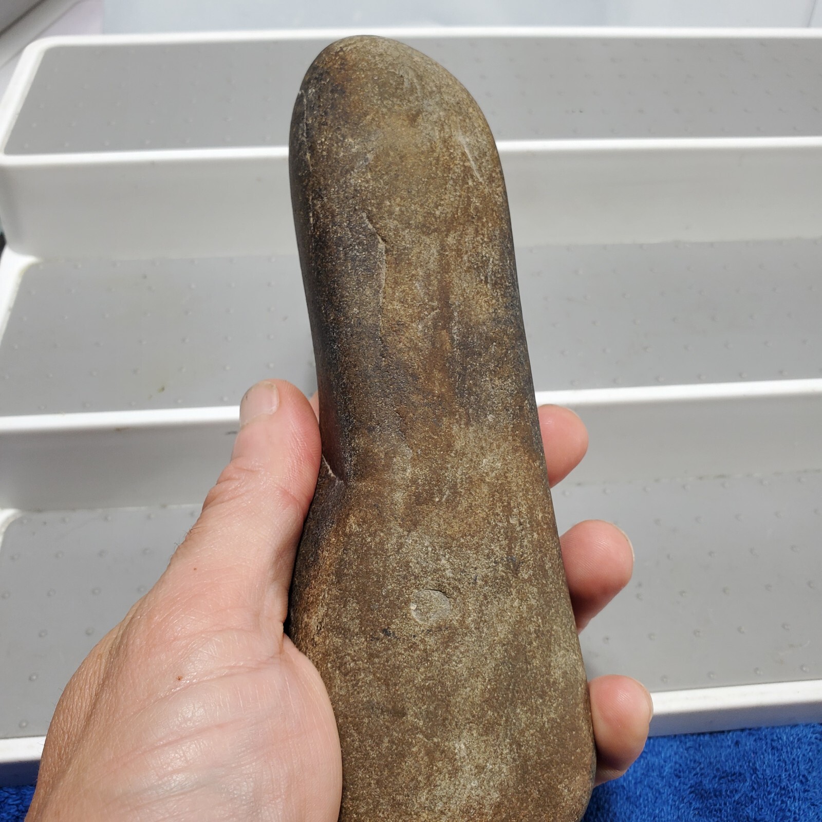 Celt Artifact 7" Indian Hardstone Club Polished Native Stone Tool Pennsylvania?