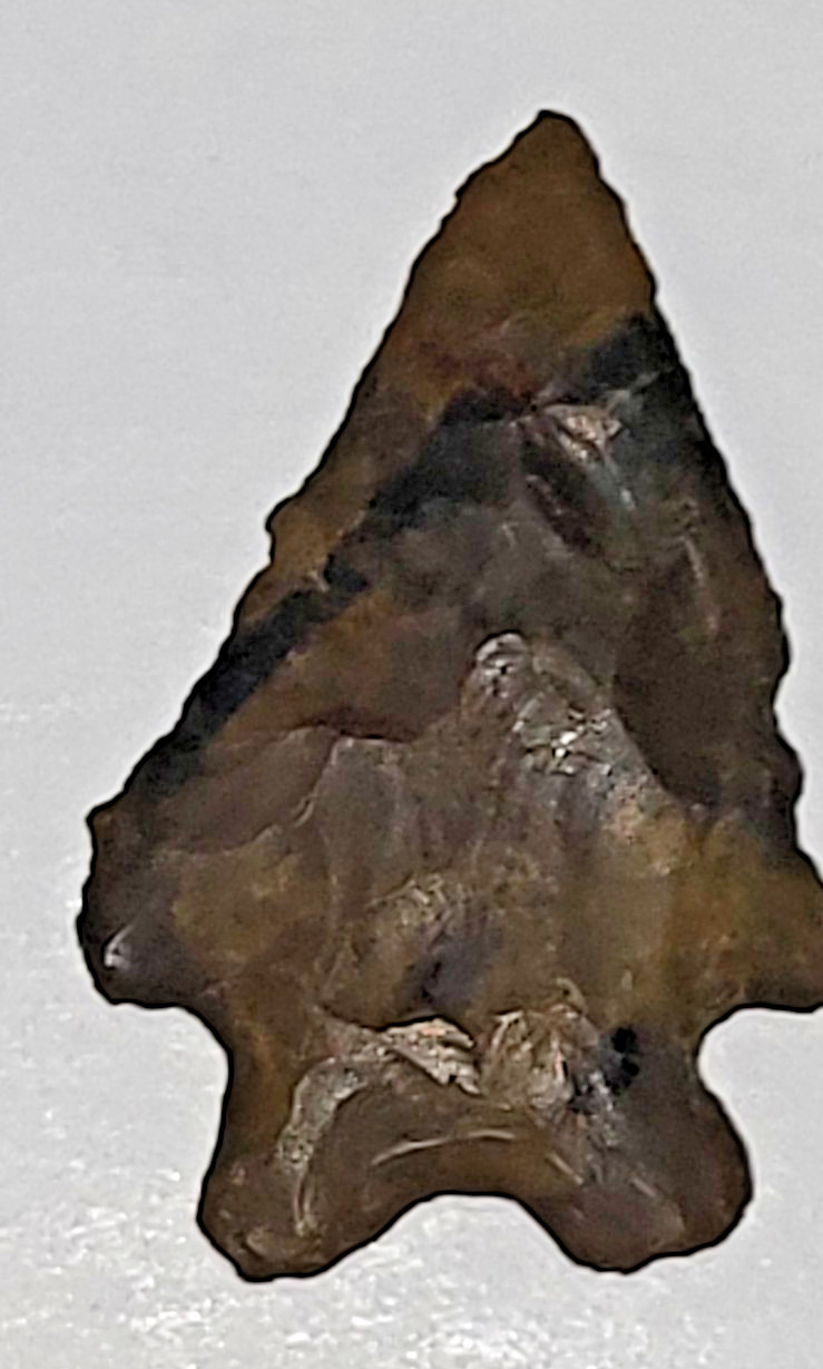 Sharp American Arrowhead Artifact Buck Creek Point? Jasper? Veined Arrow Head