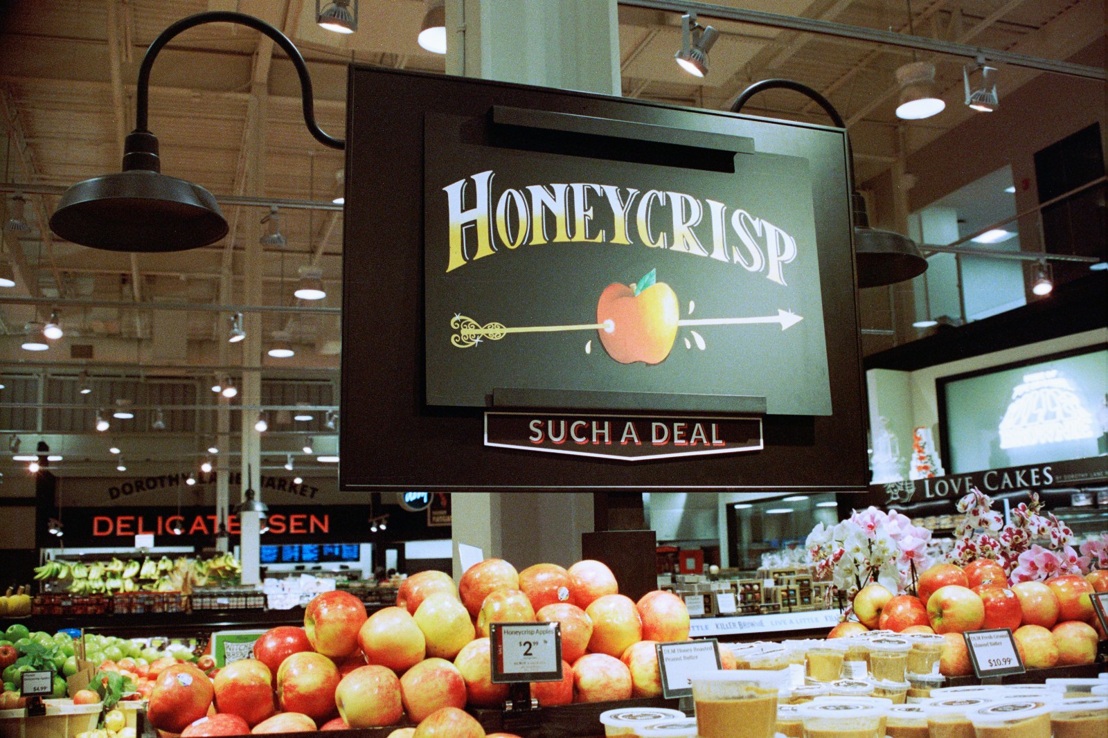 NIGHT ALIEN - 35mm Color Negative High Speed Film 800D - 36 exp C-41 BRAND NEW