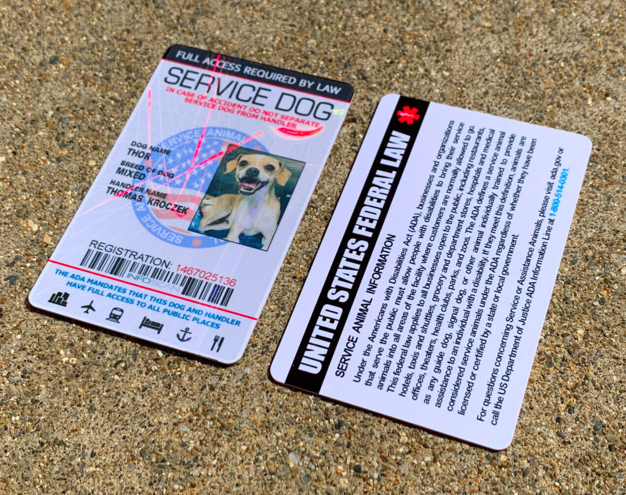 Service Dog ID Card Customized Holographic