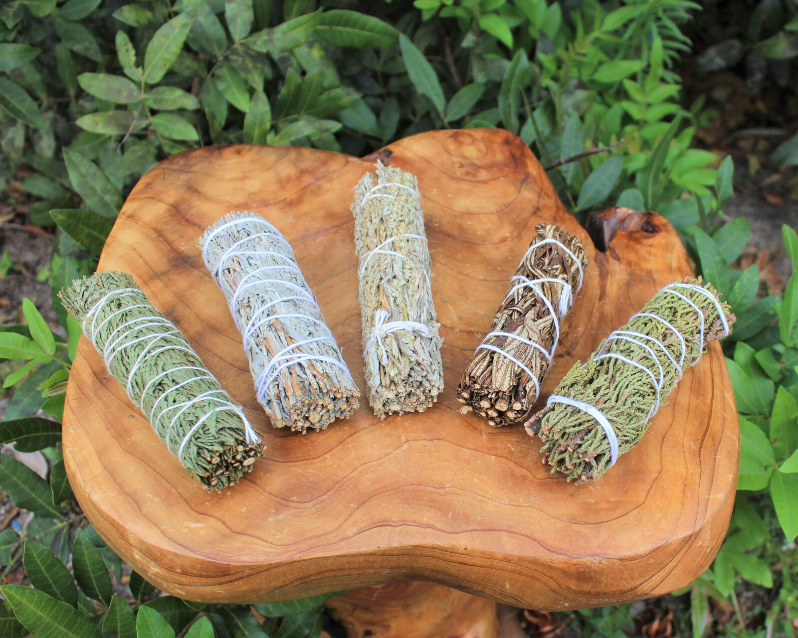 5 Smudge Stick SAMPLER: Black Sage Blue Sage Cedar Sage Juniper Sage Yerba Santa