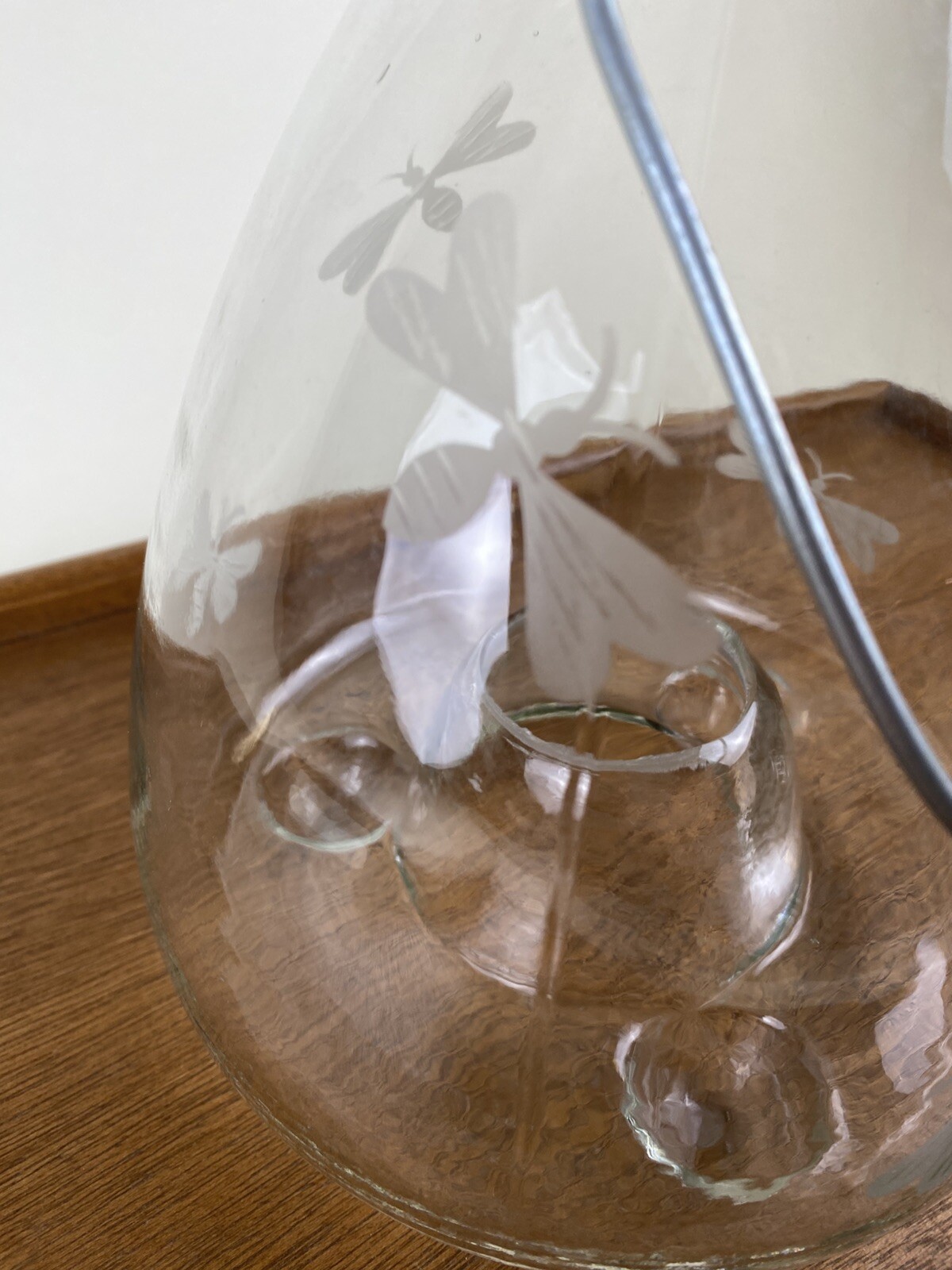 Glass Bee Catcher Trap Wasp Insect Fly Embossed Footed Hanging