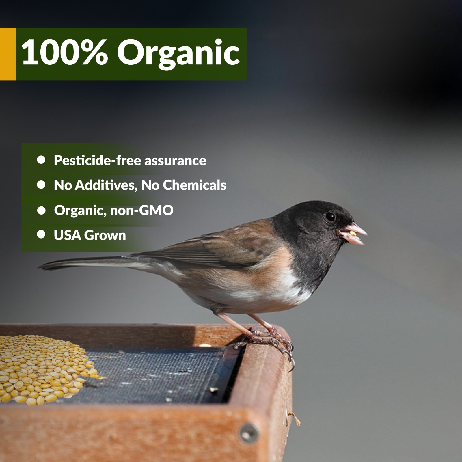 Old Potters Wildlife Organic White Millet Non-GMO USA Grown Attracts Birds 25 lb