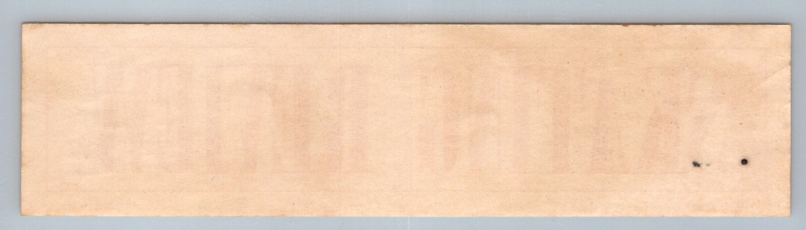 1950s Skating Review Roller Rink Sticker Label Decal Print Magazine