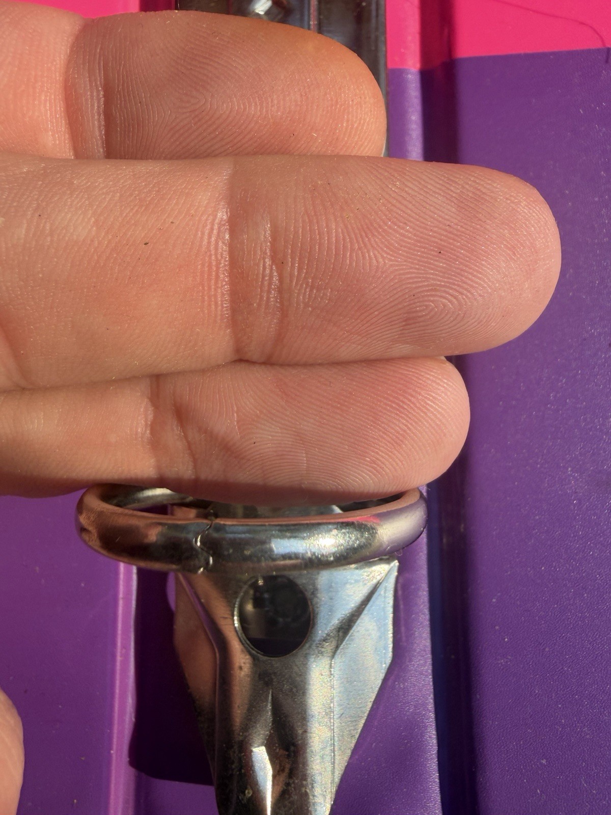 Vintage Lisa Frank Trapper Binder Cats Rare