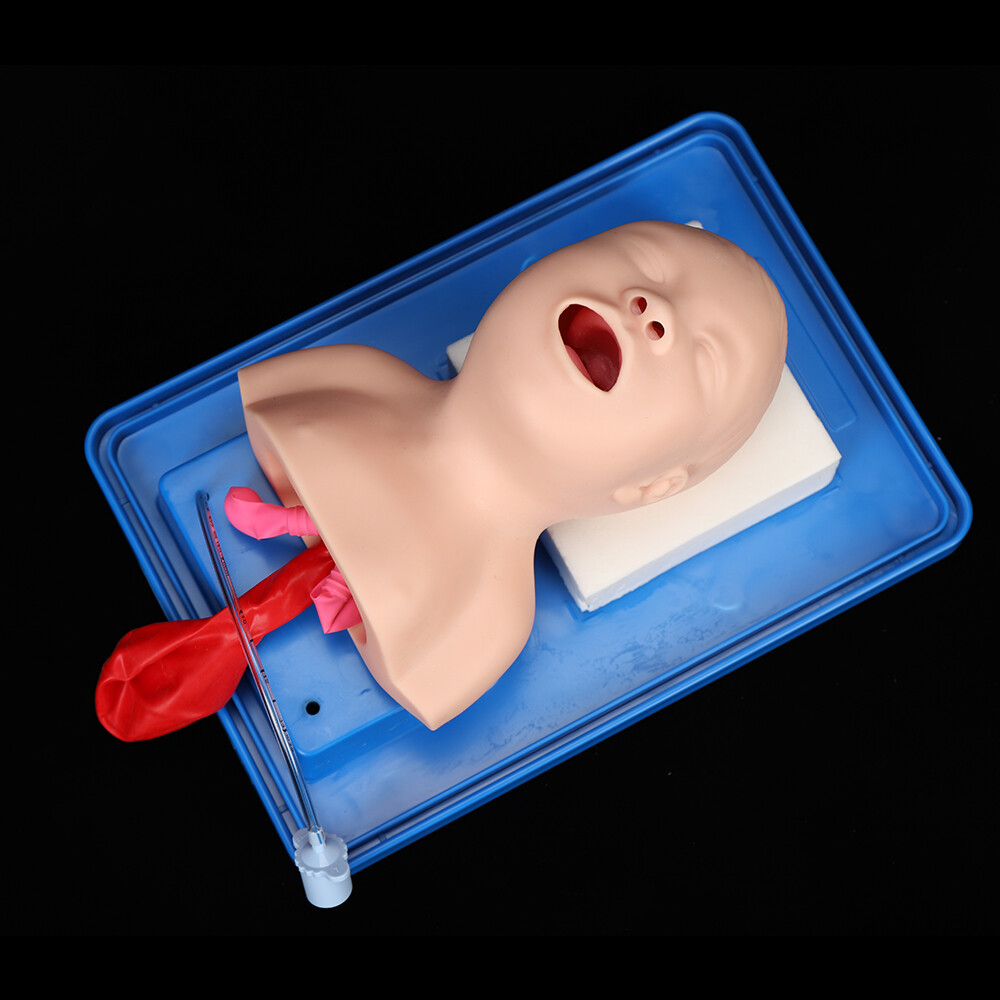 Intubation Manikin Study Baby Infant Teaching Airway Management Trainer Model